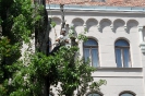TIK Szeged